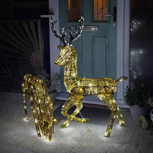 Light up Reindeer Gold Stag & Doe Set