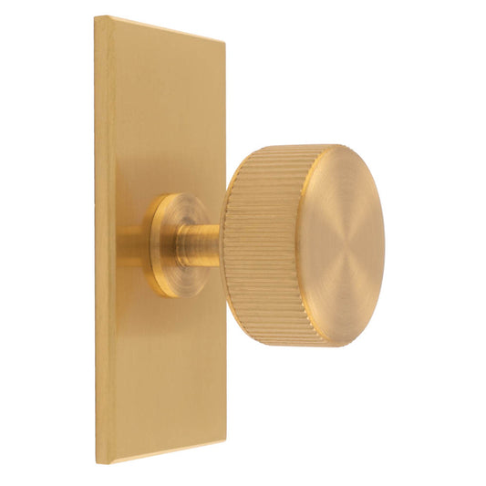 LINES RADIO KNOB ON RECTANGULAR BACKPLATE - SATIN BRASS -