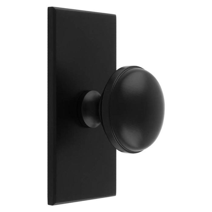 WARWICK KNOB ON RECTANGULAR BACKPLATE - MATT BLACK -