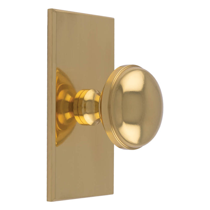 WARWICK KNOB ON RECTANGULAR BACKPLATE - POLISHED BRASS -