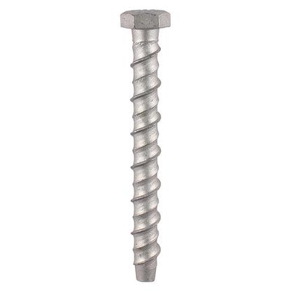 10 x TIMCO Multi-Fix Bolts Hex Head Exterior Silver - 16.0 x 100