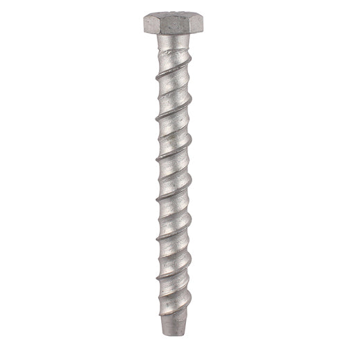 14 x TIMCO Multi-Fix Bolts Hex Head Exterior Silver - 10.0 x 75