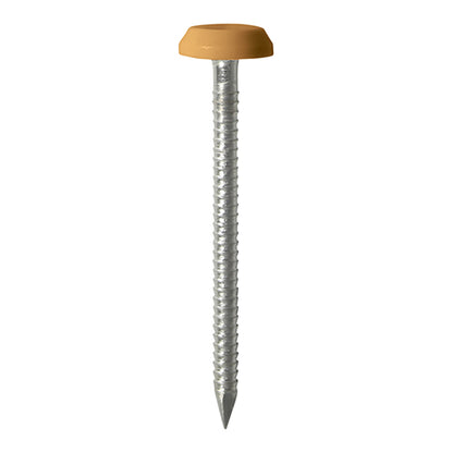 100 x TIMCO Polymer Headed Nails A4 Stainless Steel Oak - 50mm