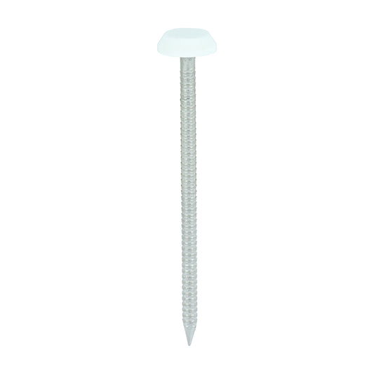 100 x TIMCO Polymer Headed Nails A4 Stainless Steel White - 65mm