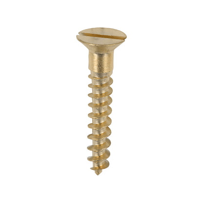 200 x TIMCO Solid Brass Countersunk Woodscrews - 8 x 1