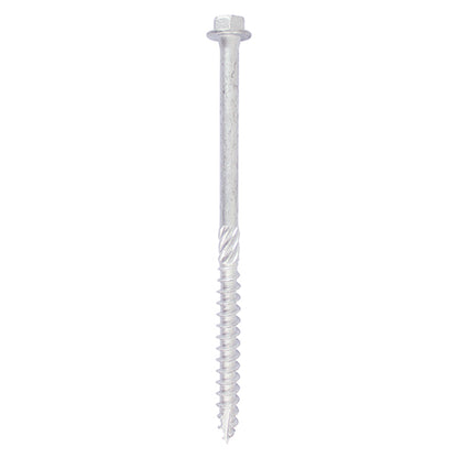 10 x TIMCO Heavy Duty Timber Screws Hex Flange Head Exterior Silver - 10 x 100